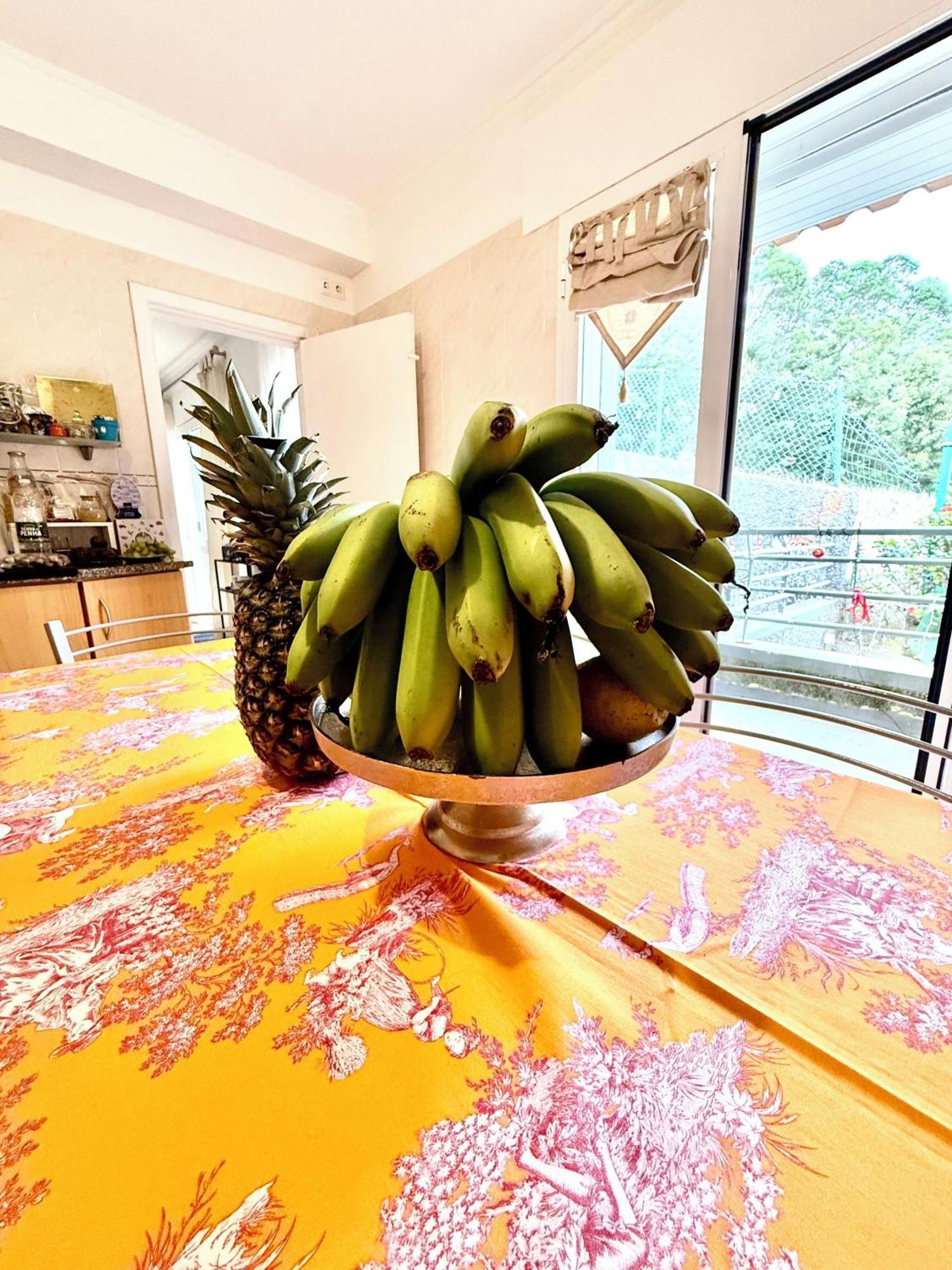 Casa Do Sol Villa ซานตาครูซ ภายนอก รูปภาพ